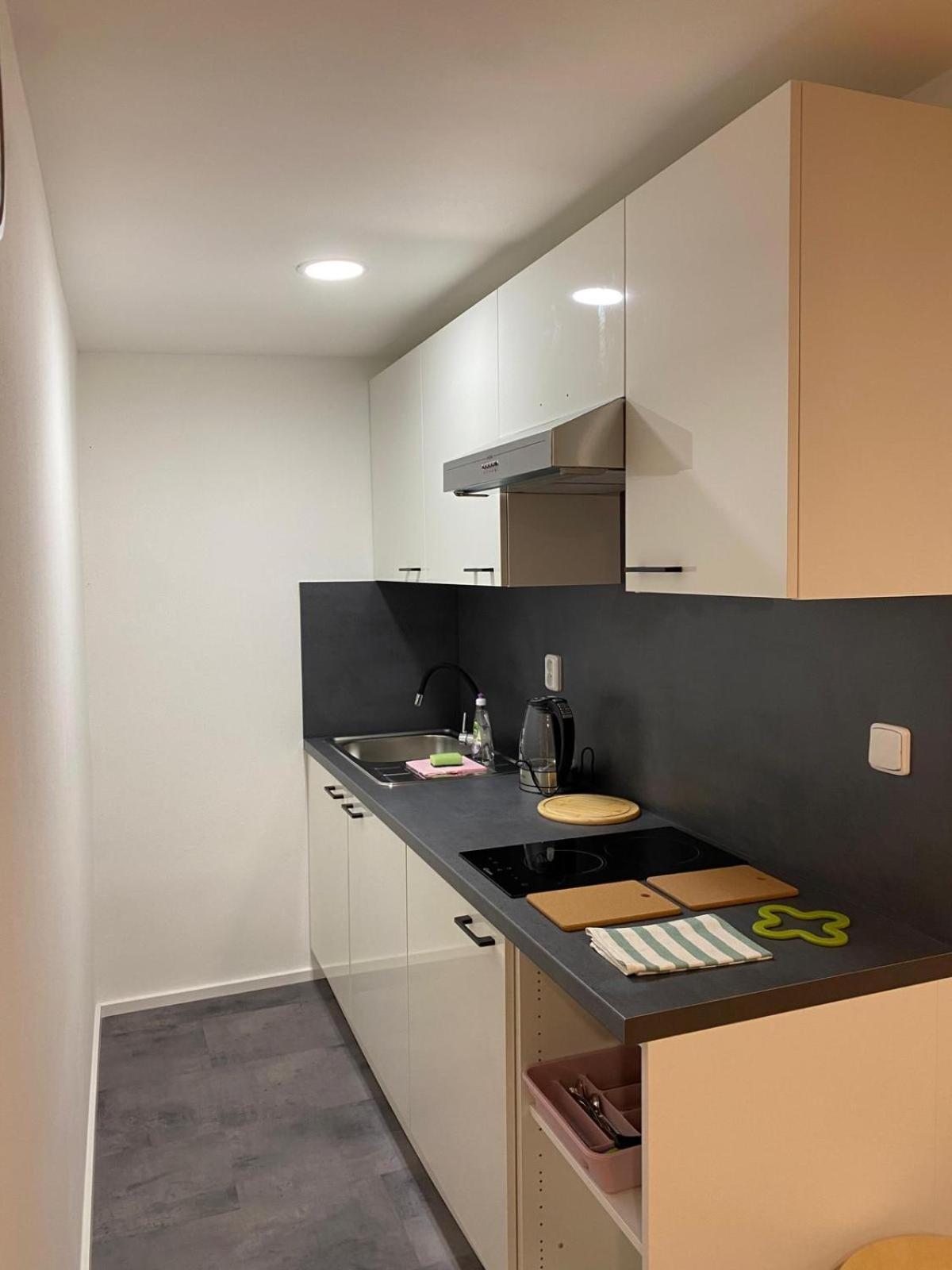 Pod Lipou Apartman Liberec Kültér fotó